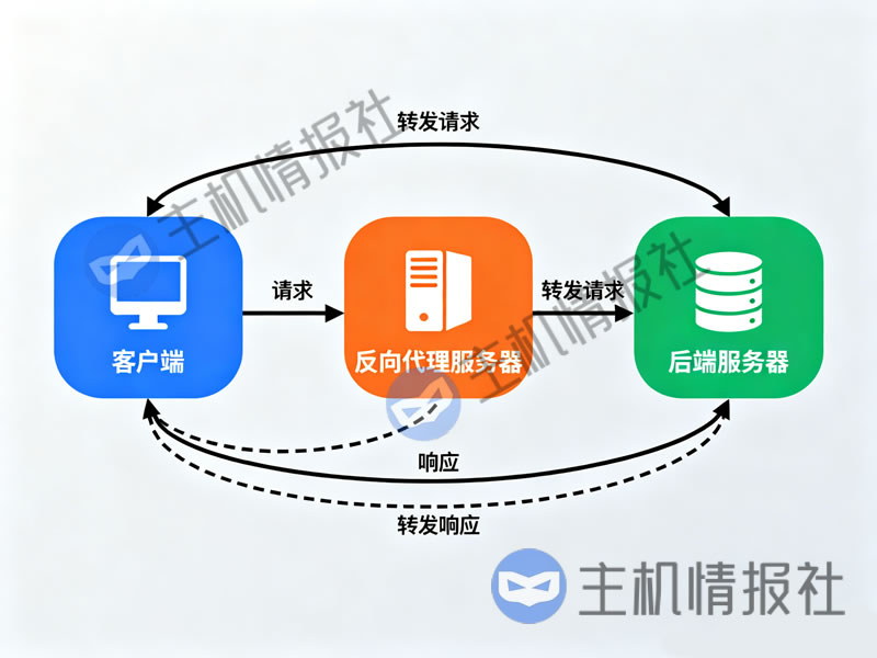 如何在VPS上设置反向代理？速度会有影响吗？